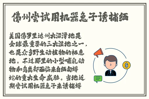 一支笔怎么自w性方面